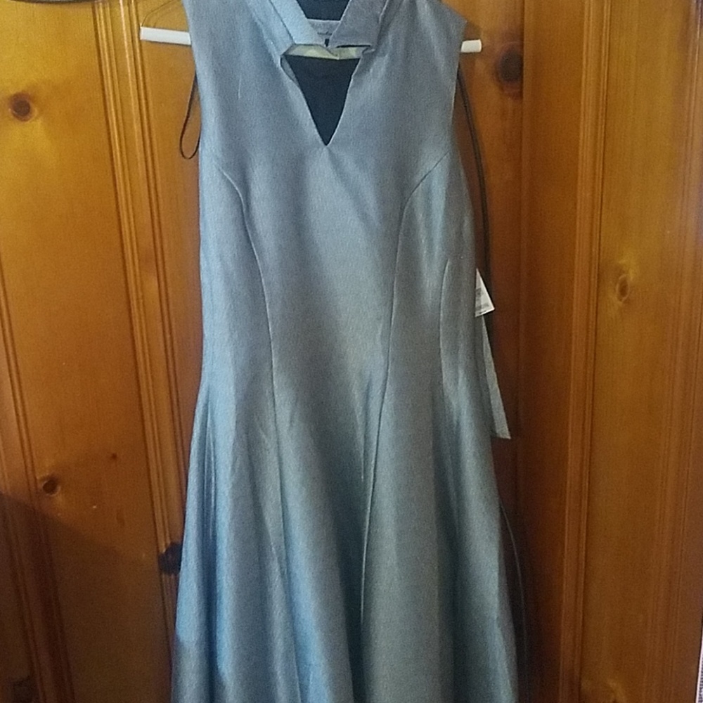 Silver dress